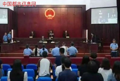 “大熊猫被虐待”谣言背后的利益链