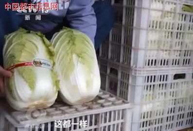 9毛一斤白菜一棵卖155元“地理标志产品”标签骗人!